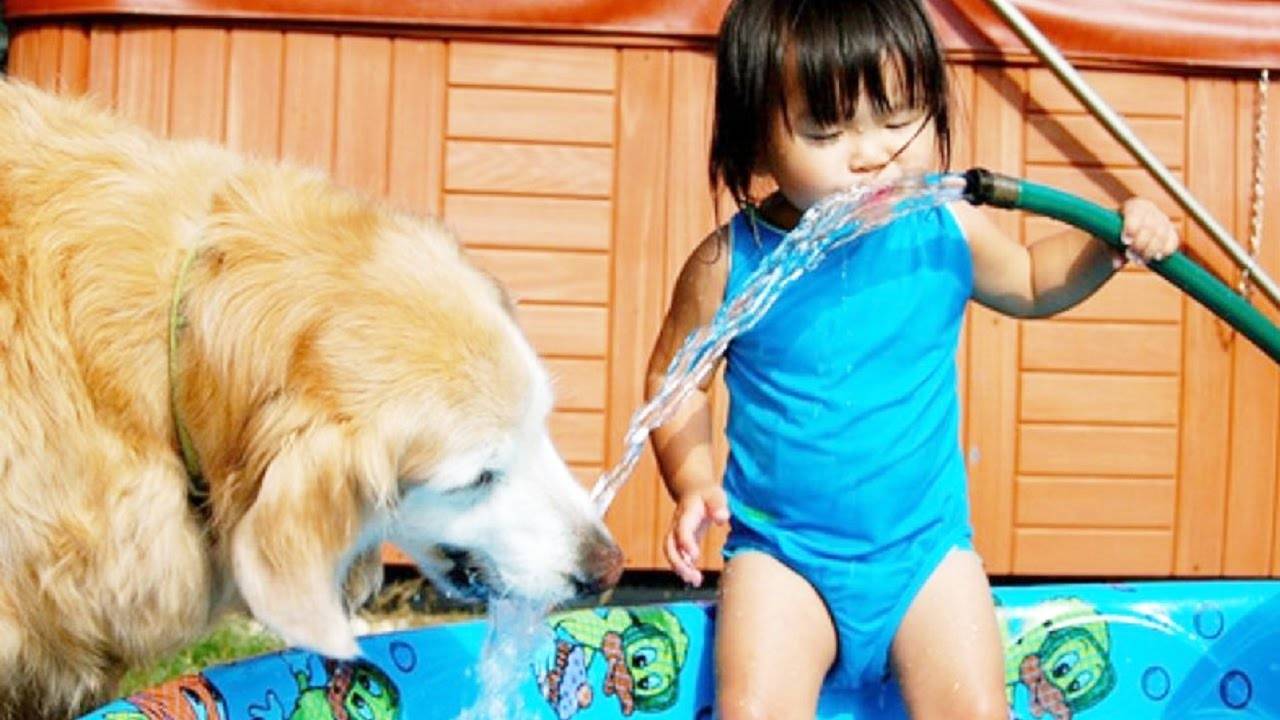 Especialista explica como melhorar o convívio entre pets e crianças | Foto: Reprodução