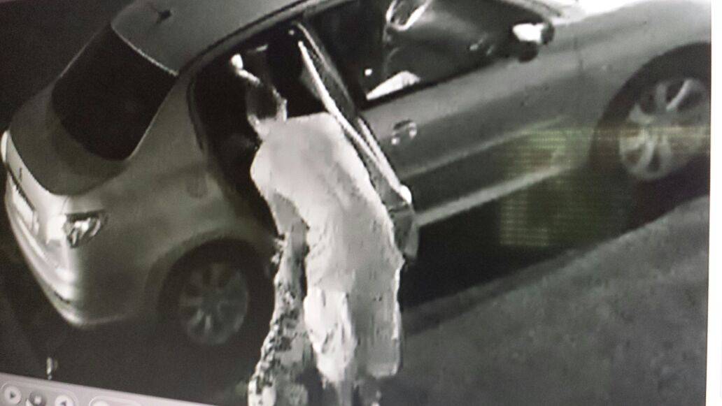 Vídeo mostra ação de homem que furtou dálmata no meio da rua em Goiânia | Foto: Reprodução/ Câmera de Segurança