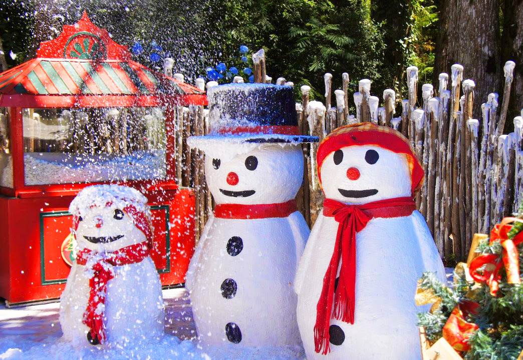 No Setor Bueno, neve artificial receberá a chegada do Papai Noel | Foto: Ilustrativa
