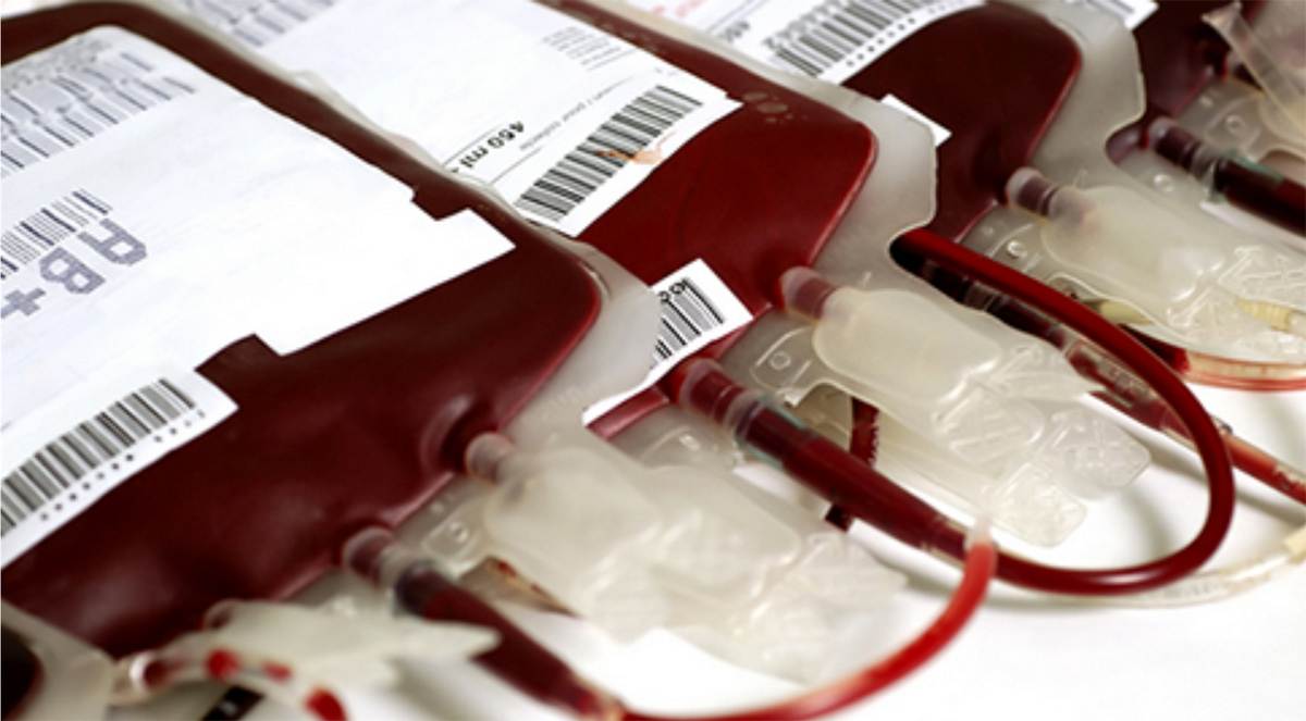 Unidade móvel recolherá doações de sangue no Jardim América nesta sexta, 26 | Foto: Reprodução