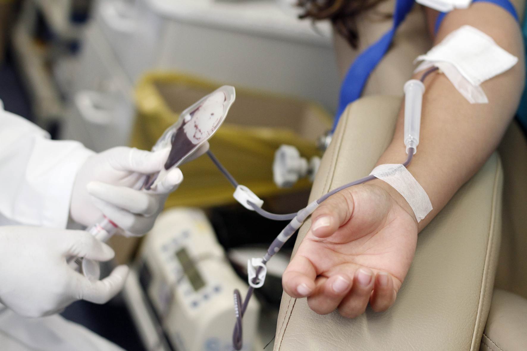 Unidade móvel recolherá doações de sangue no Jardim América nesta sexta, 26 | Foto: Reprodução