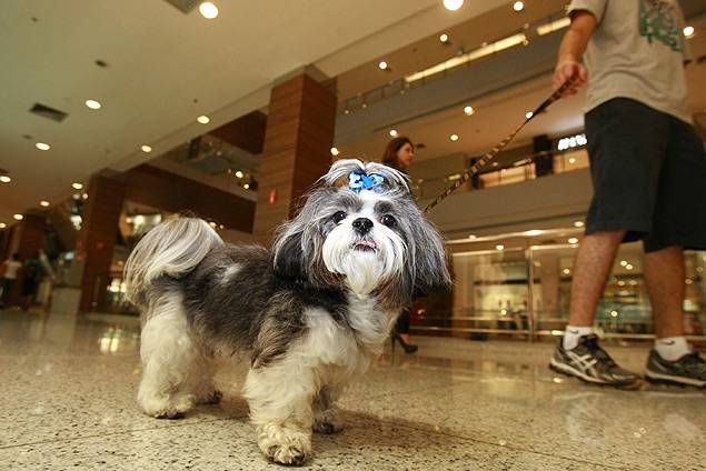 Cães e gatos agora podem passear pelo Goiânia Shopping | Foto: Reprodução