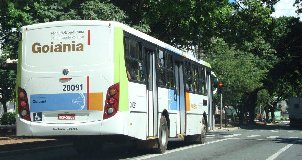 Animais domésticos poderão utilizar o transporte coletivo em Goiás, propõe deputado | Foto: Reprodução
