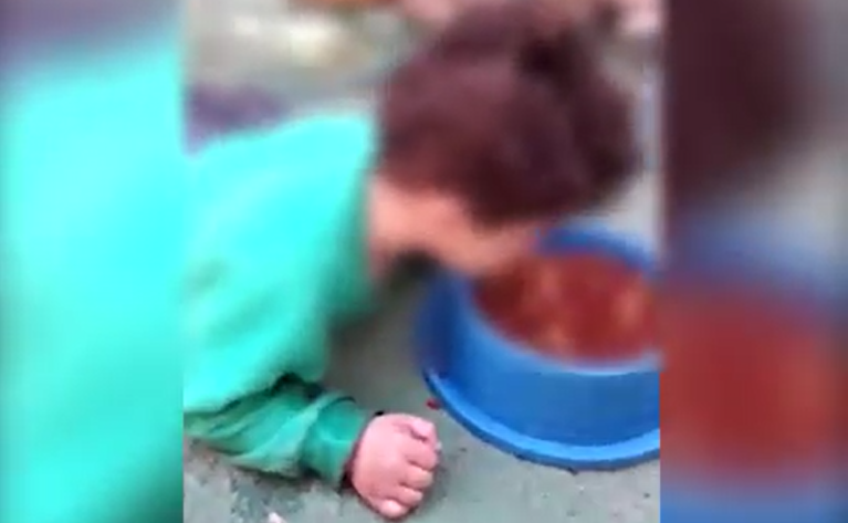Imagens do garoto de dois anos comendo ração canina tomou conta das redes sociais e causou indignação entre os internautas | Foto: Reprodução Imagens do garoto de dois anos comendo ração canina tomou conta das redes sociais e causou indignação entre os internautas | Foto: Reprodução
