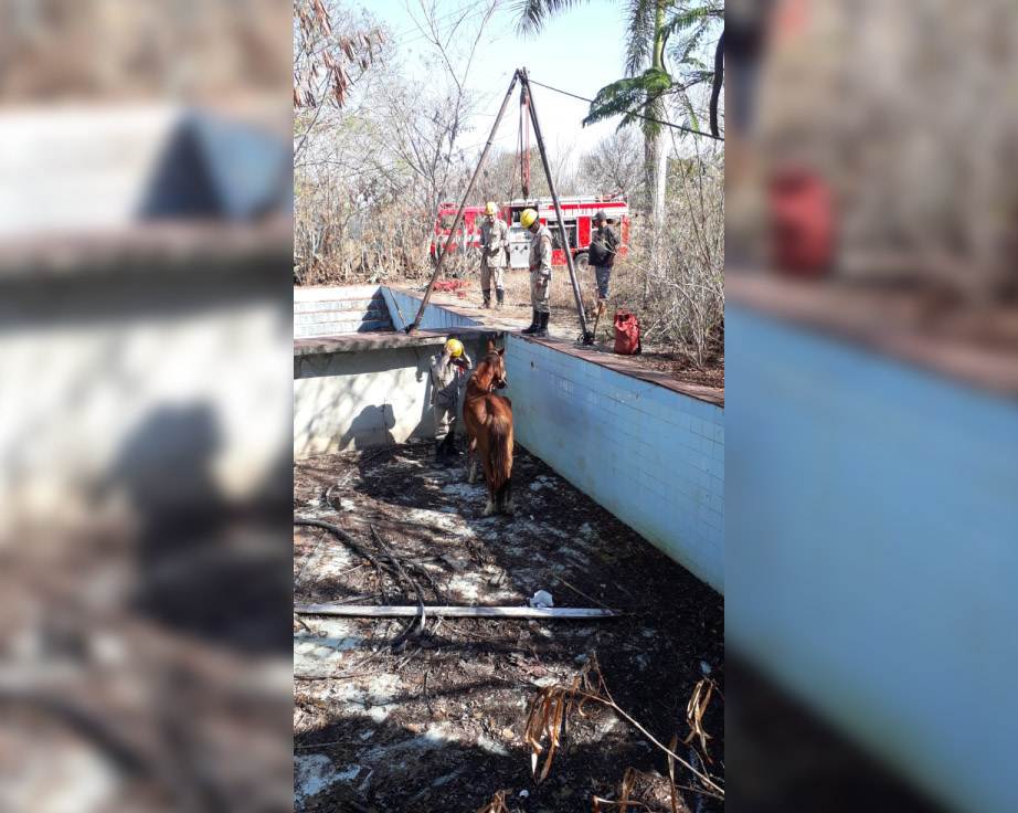 Piscina desativa tinha 1,5 m de profundidade | Foto: Divulgação / Corpo de Bombeiros