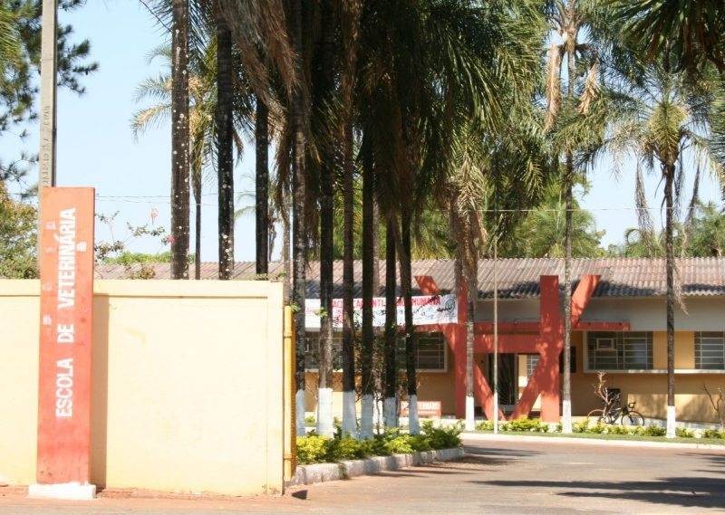 Escola de Veterinária da Universidade Federal de Goiás. Estudande morreu em misturador de ração | Foto: Reprodução