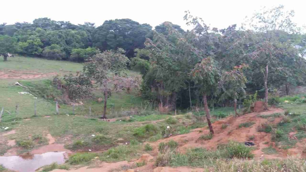 RegiÃ£o em que adolescente se afogou em represa | Foto: ReproduÃ§Ã£o 