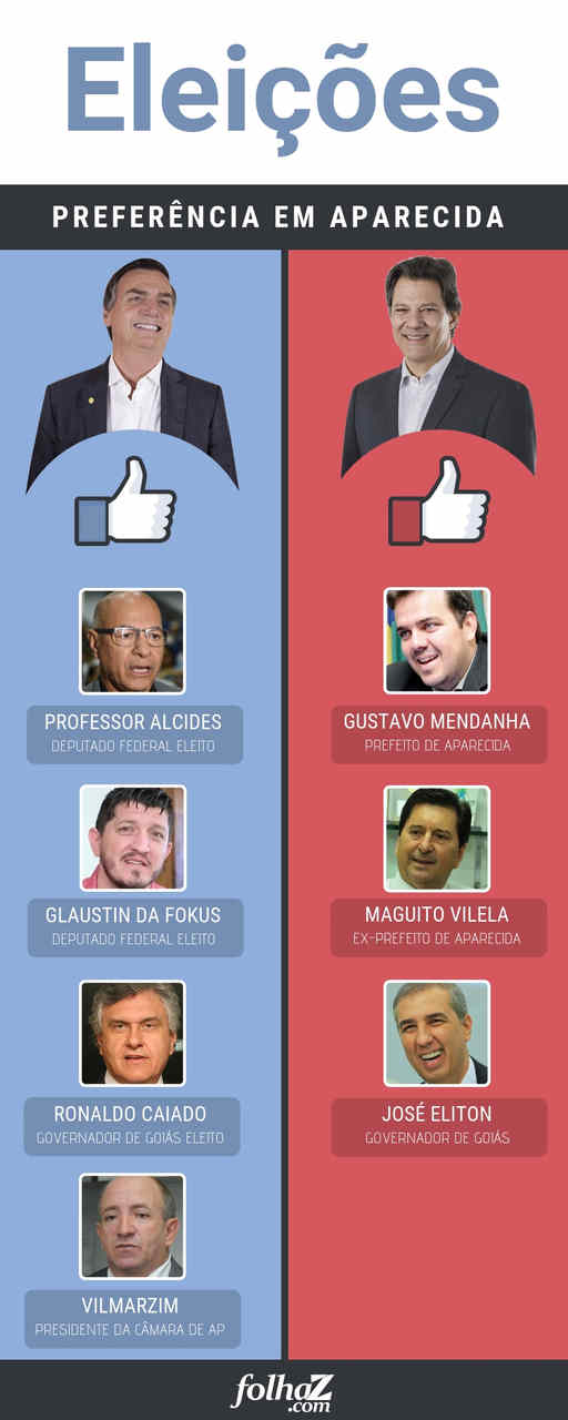 Infográfico: Folha Z