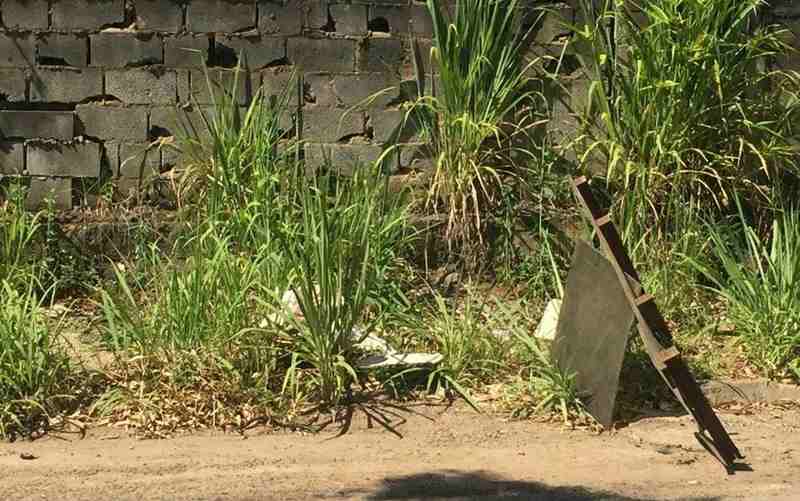 Cabeça humana foi encontrada no meio da rua na Vila Brasília | Foto: TV Anhanguera