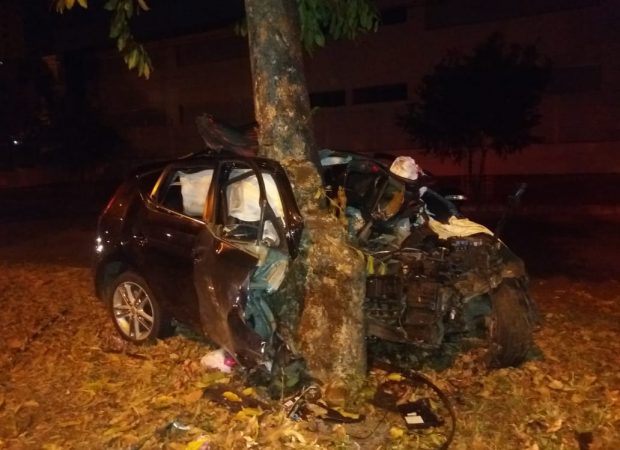 Jovem de 23 anos ficou gravemente ferido após bater contra uma árvore na Avenida Antônio Fidelis, no Parque Amazônia | Foto: Reprodução